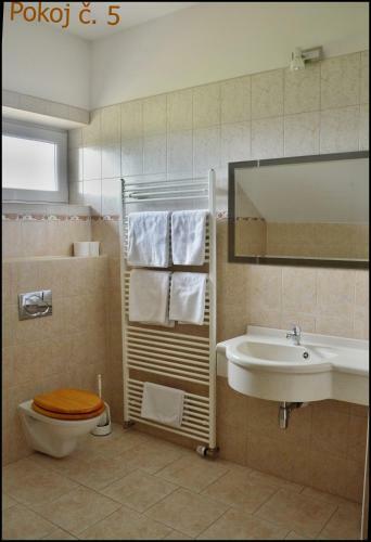 Hostal Penzion Star� Dvur