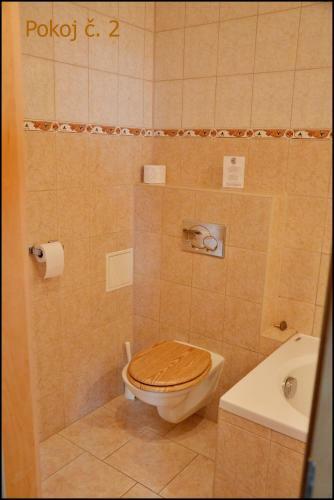 Hostal Penzion Star� Dvur