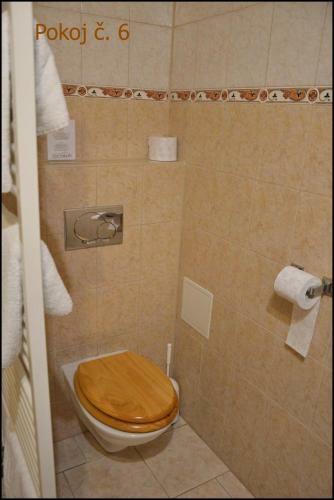 Hostal Penzion Star� Dvur
