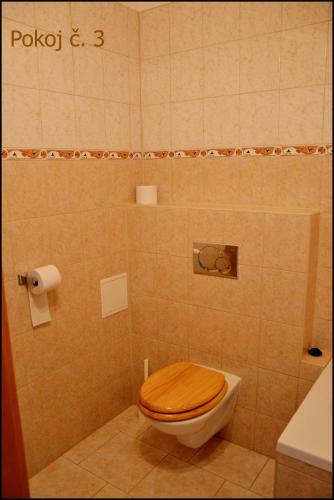 Hostal Penzion Star� Dvur