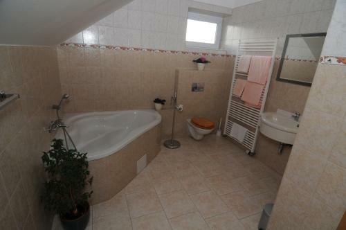 Hostal Penzion Star� Dvur