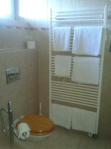 Hostal Penzion Star� Dvur