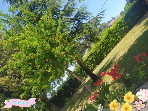 Bed & Breakfast Belvedere Baiocco