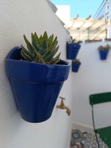 Mar�a Luisa Home