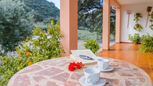 Villa La Quinta Priego de C�rdoba By Ruralidays