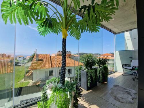 Apartamento Piso De Lujo En Canelas