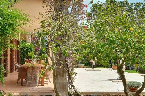 Villa Casa Agres - Porto Cristo