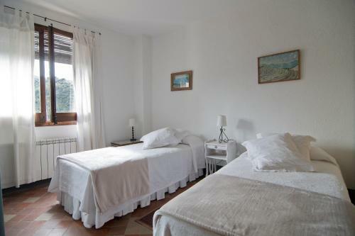 Apartamento Cal Porrer�: Lo Moll�