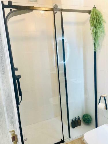Apartamento New Loft Centro Pontevedra