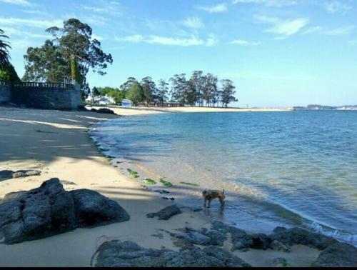 Sol, Mar Y Naturaleza