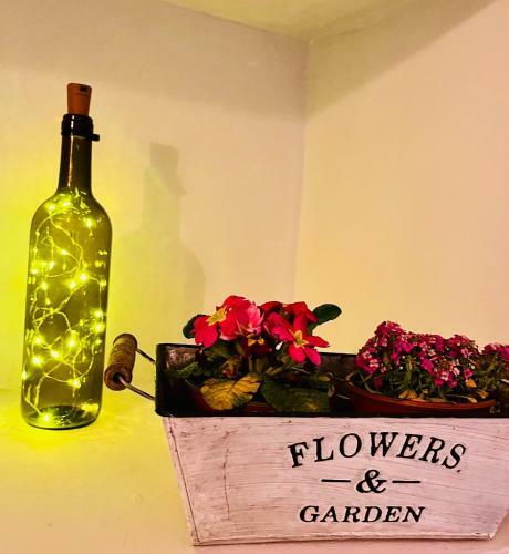 Hostal Eden Garden B&B