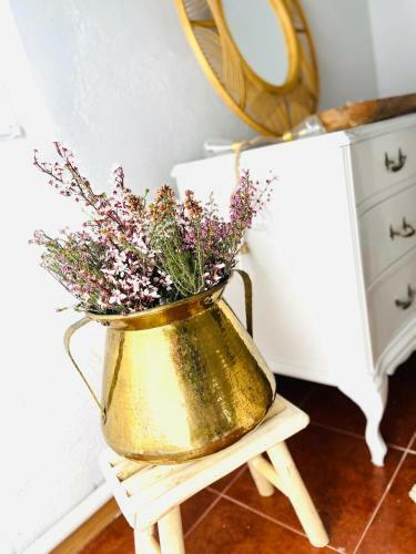 Hostal Eden Garden B&B