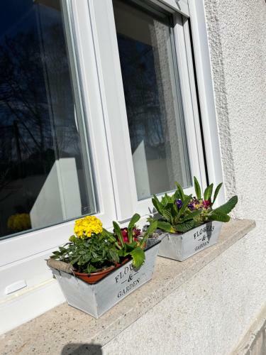 Hostal Eden Garden B&B
