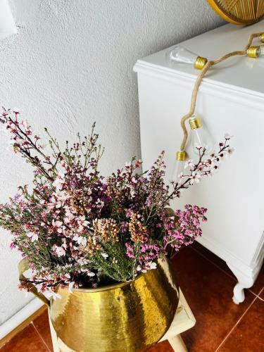 Hostal Eden Garden B&B
