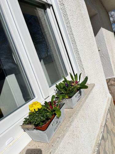 Hostal Eden Garden B&B