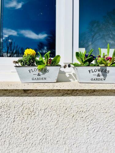 Hostal Eden Garden B&B