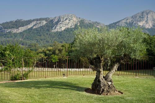 Agroturismo Finca La Coma