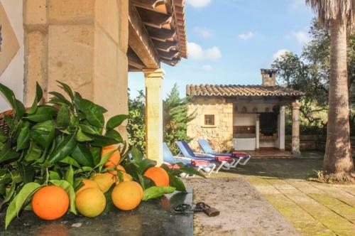 Villa Finca Oreano