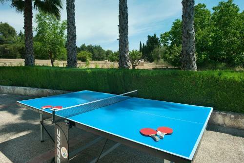 Owl Booking Villa Can Bandera - Rustic Stay