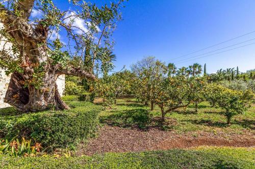 Villa Pollensa - 4661 Mallorca