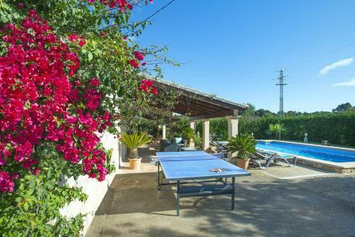 Owl Booking Villa Peric - Family And Friends