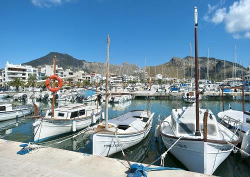 Owl Booking Villa Marvil - Exclusive Holidays