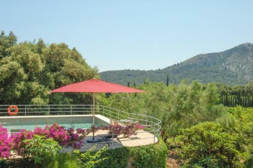 Villa Borrassa