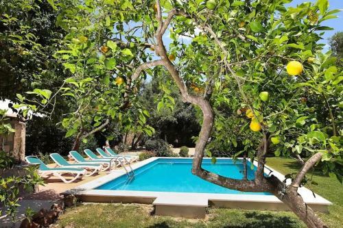 Villa Lovely Mallorquin Farmhouse In Pollensa