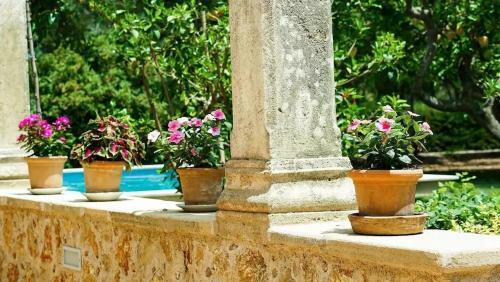 Villa Lovely Mallorquin Farmhouse In Pollensa