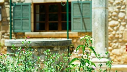 Villa Lovely Mallorquin Farmhouse In Pollensa