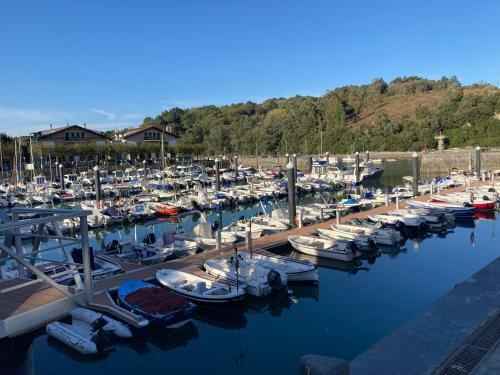 Apartamento Plentzia Port