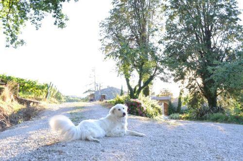 Agroturismo Agriturismo Lapone