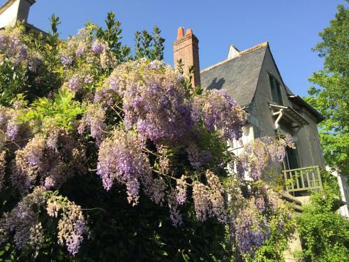 Loire Valley Medieval Loft