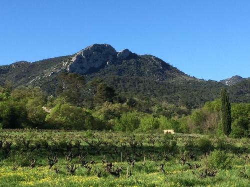 B&B Domaine Le Clos Du Pavillon