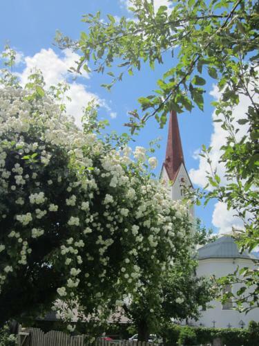 Ferienhaus Mandlhof