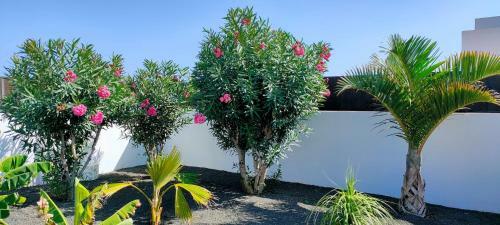 Villa Fedelian 2 Playa Blanca