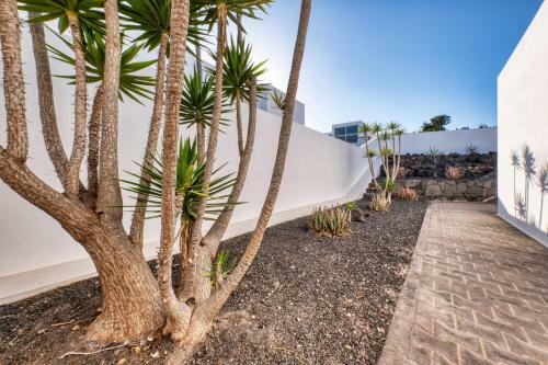 Lava And Sea- Private Pool, Amazing Sea Views