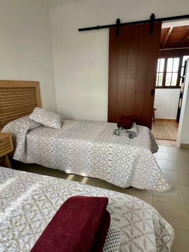 Villa Atienza 99