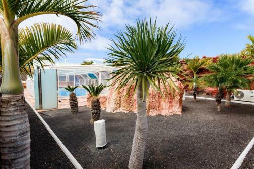 Lanzarote Villa Olive