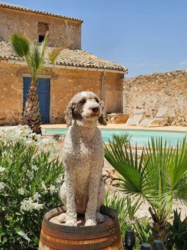 Bed & Breakfast Casa Rodriguillo