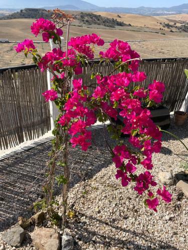 Apartamento Casita Oasis