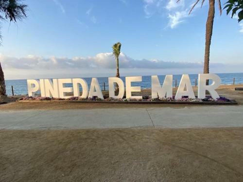 Apartamento A Primera L�nea De Mar