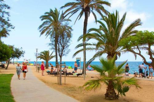 Apartamento A Primera L�nea De Mar