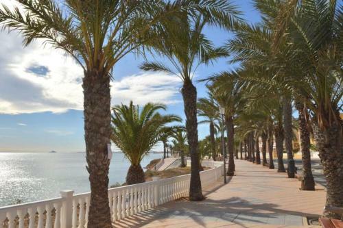 Apartamento Holiday In Horadada