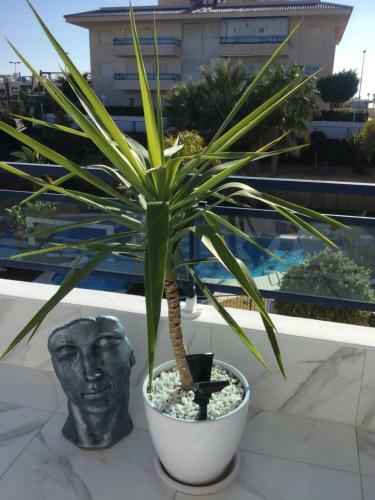 Apartamento Duplex - 500m From Mil Palmeras Beach