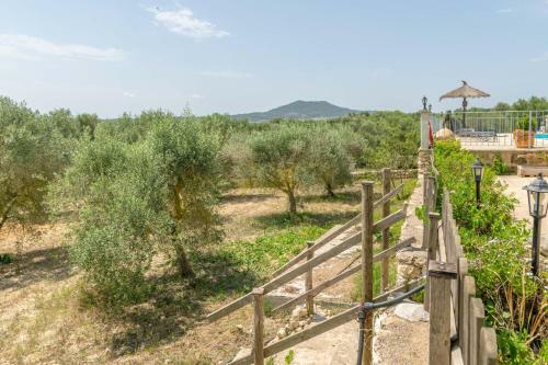 Villa Finca Son Pu�a