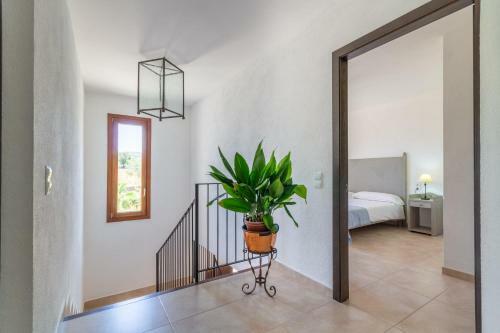 Petra - 38510 Mallorca