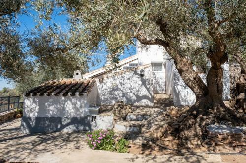 Cortijo Salva
