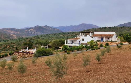 Finca Zayas Whole Estate