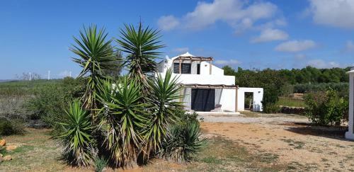Villa Casa Padel El Perello